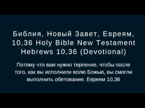 Послание к евреям толкование. Евреям 10. Новый Завет и Псалтирь.