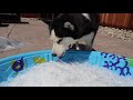 Beginning of video