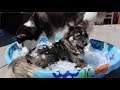Middle of video