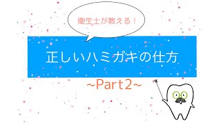 歯科衛生士が教える正しいブラッシング