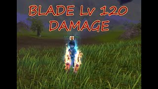 Flyff Universe - BLADE DAMAGE TEST - Level 120 Roku Burudeng