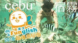 瘋英文Funglish｜鯨鯊共游潛水特輯｜Funglish X First English ...