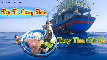 CÂU CÁ NGỪ ĐẠI DƯƠNG BIỂN HOÀNG SA 25║Tiếp Tế Lương Thực,Quyết Tâm Truy Tìm Cá Ngừ Đại Dương.
