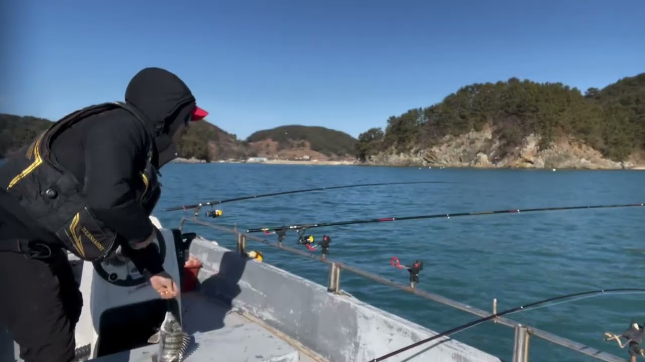 감시 얼굴 확인~ 