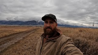 A Ranch Update and Big News From Our Family! by Luthi Ranch 1,434 views 6 months ago 3 minutes, 55 seconds