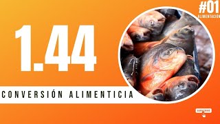 Conversión Alimenticia En El Cultivo De Peces
