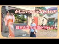 🌹かしこい女じゃないけれど🌹 | 雙溪公園 |原唱:北原由紀 石原詢子 |🌹傳唱:雙 人