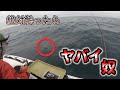 【船酔い地獄】ヤバイ魚と謎魚との出会い