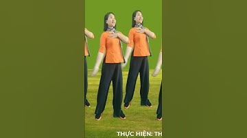 CÔ GÁI SÀI GÒN ĐI TẢI ĐẠN🌸 ( Bài mẫu 2 của hội  LHPN Việt Nam)