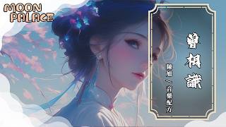 陳旭，音藥配方 - 曾相識 | 那一遇驚覺了春色心事變柔長 思念淌在情字裡掀起心浪 | [動態歌詞 Lyric Video]