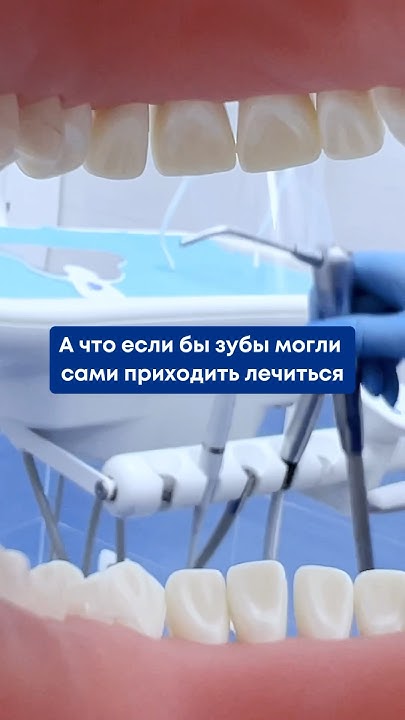 Если бы зубы сами ходили к стоматологу это хорошо или плохо? 🤔 # ...