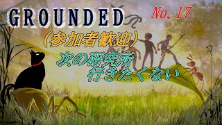 「GROUNDED 」17(参加型)