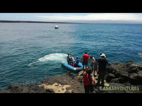Discover the beauty of The Galapagos Islands...