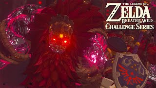 STRAIGHT TO GANON: Breath of the Wild Challenge Series