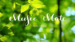 A day full of green☁Healing music in nature, Stress relief music, Meditation music.