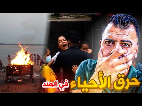 فيديو: كمية 