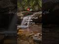 Islamic Video| دل کی باتیں|QA Soul Official |#dil #fyp #Trending #Viral #shorts #دل #qasoulofficial