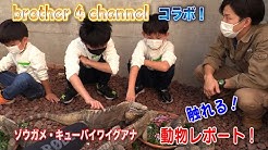 みんなのダーウィン どうぶつえん すいぞくかん Youtube