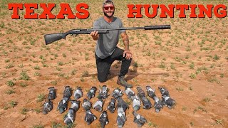 Silenced 12 Gauge Texas Pigeon Hunting!!