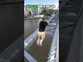 The last jump is God level💀#shorts #parkour#jumping