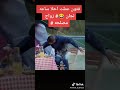 مشهد جميل من مسلسل زواج مصلحه 3