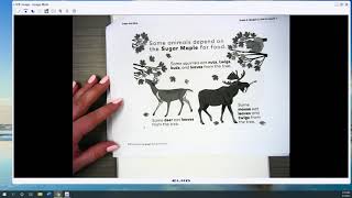 Sugar Maple Read Aloud