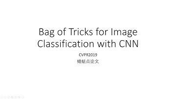 【蜻蜓点论文】Bag of Tricks for Image Classification with CNN