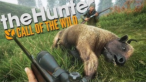 Wild animal hunting 2020 free android gameplay walkthrough gameplay |jungle hunting games|