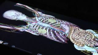 Suffolk's Virtual Dissection Table