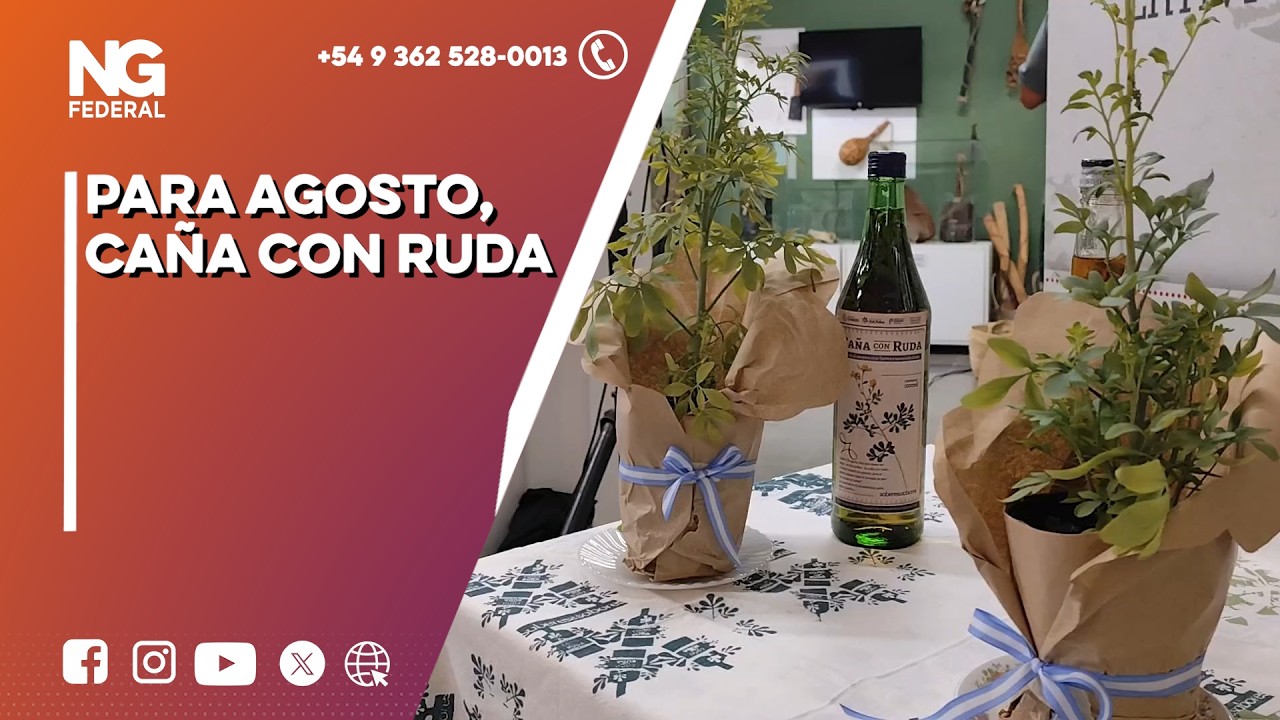 ►El ritual del 1 de agosto: Cómo y por qué se toma la tradicional caña con ruda