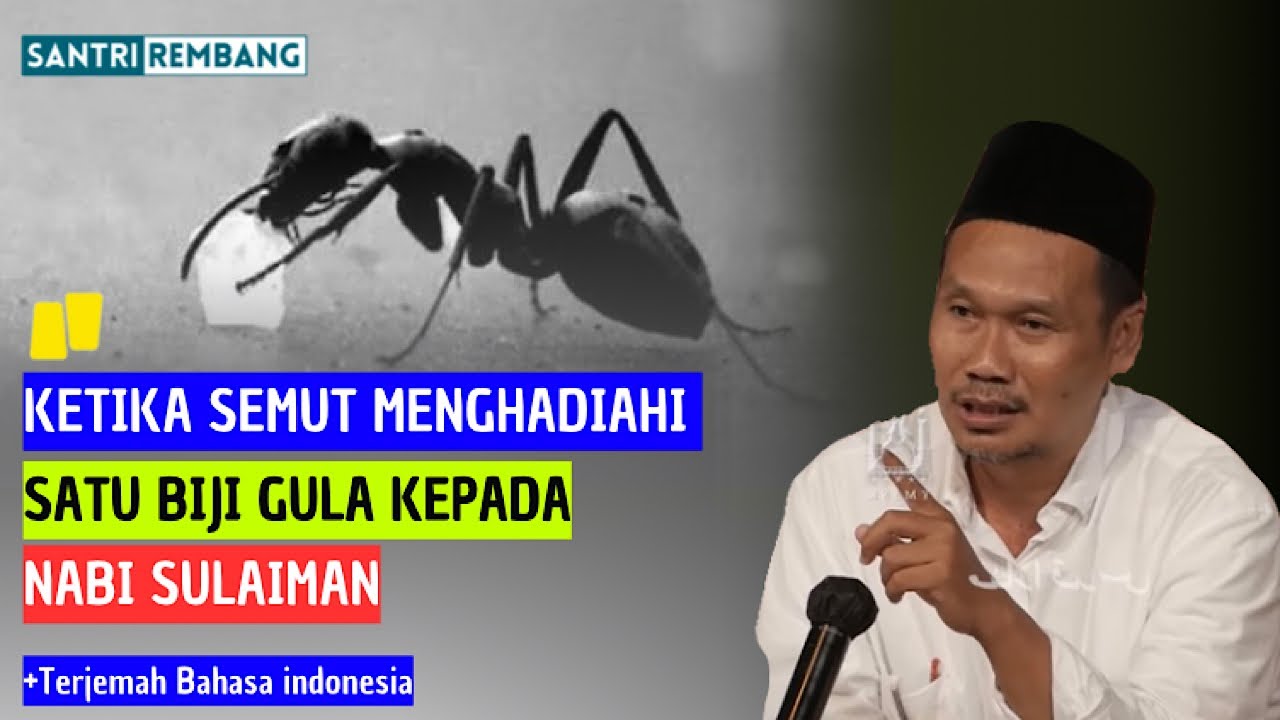 Gus baha : Kisah nabi sulaiman As | terjemah bahasa indonesia