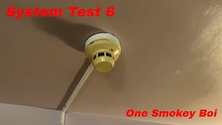 Detector Test | System Test 6