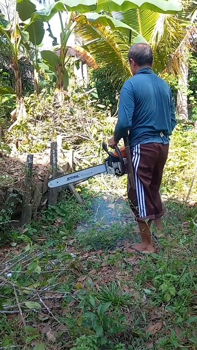Suara mesin gergaji sthil