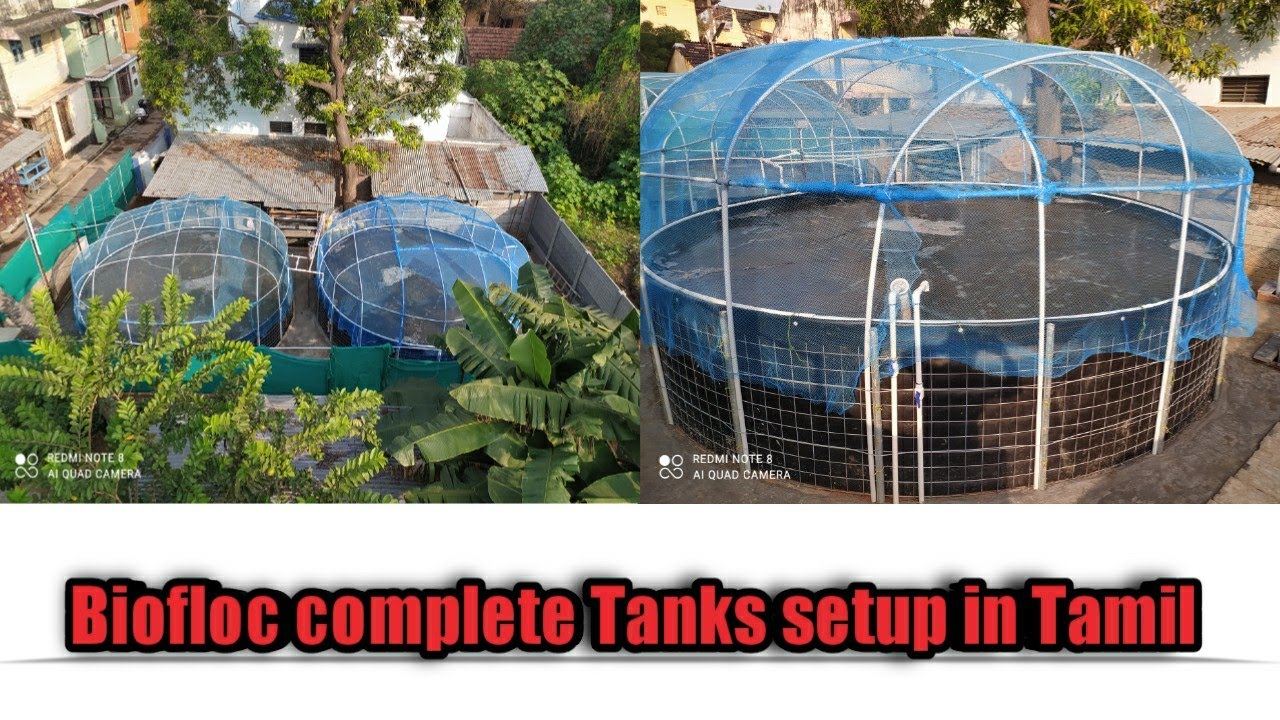 Biofloc fish forming complete tanks setup in Tamil - YouTube