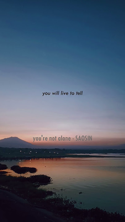 you're not alone - saosin #storywa #lirikvideo #liriklagu #quote #storywa30detik #saosin