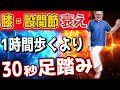 【ウォーキング危険】下半身の衰えを感じたら歩く前にこの足踏みやってみて!【下半身の衰え・老化・腰痛・股関節痛・膝痛・内臓脂肪・中性脂肪・坐骨神経痛・脊柱管狭窄症】
