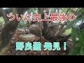 久しぶりに公園に行くと思いもしなかった展開に！