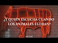 The Smiths - Meat is murder // Sub. Español