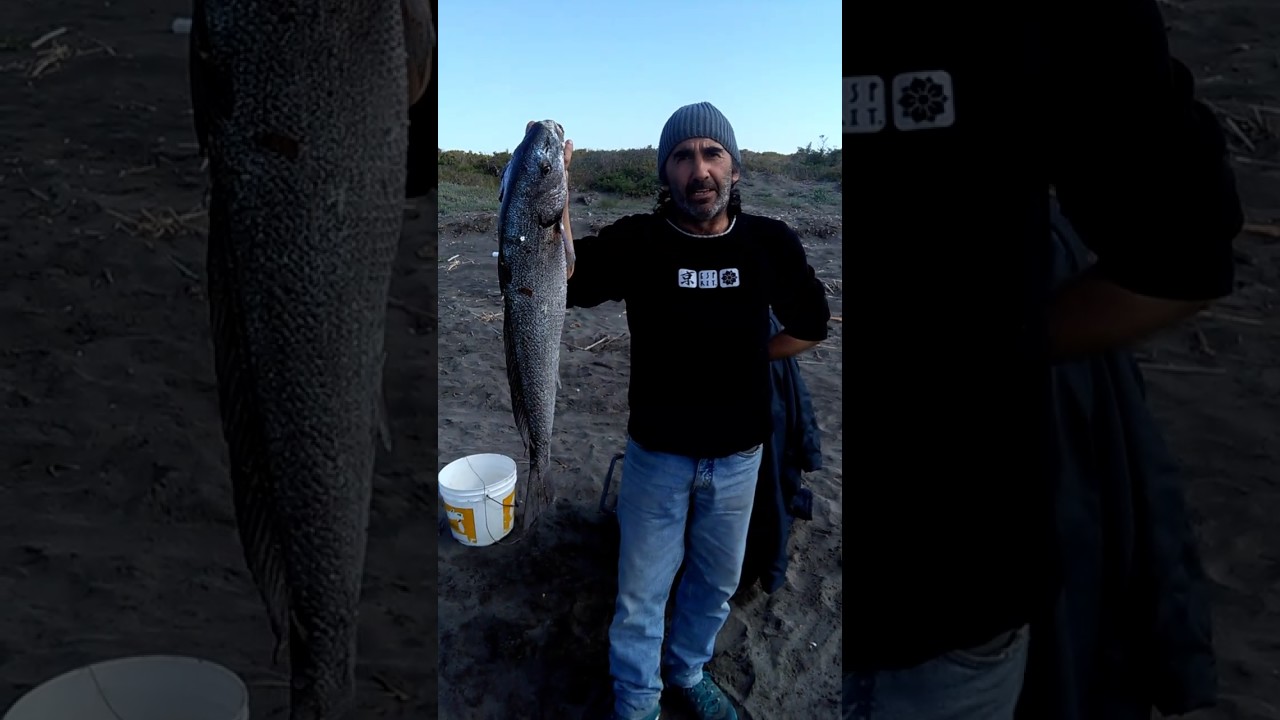 Il secco e le ombrine