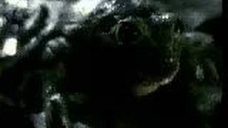 Original Budweiser Frogs Commercial