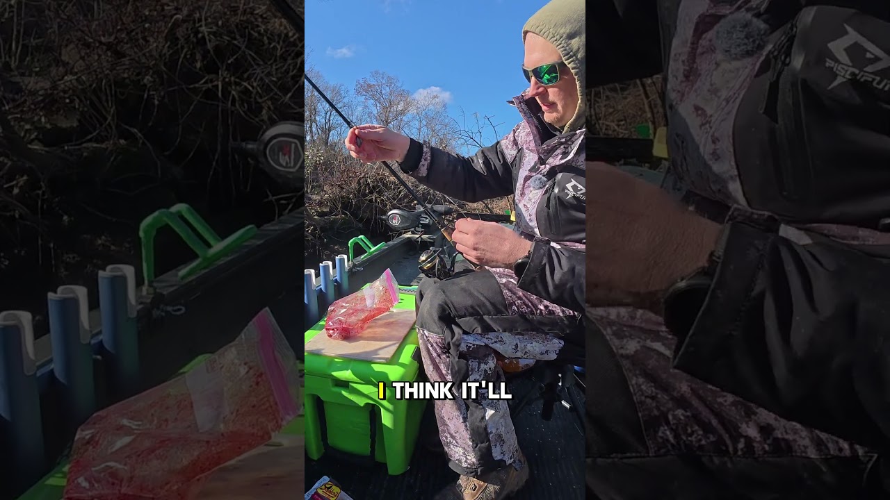 Jello garlic hot dogs for catfish? #fishing #catfishguide #fishing video