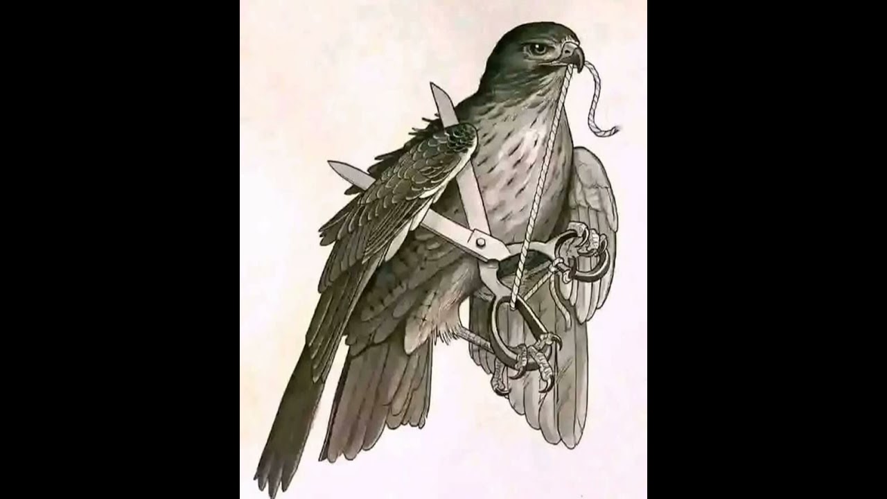 Makorokoto makorokoto 