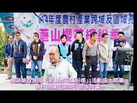 【樹湖魅力無限「荖山櫻花繽紛季」活動盛大開幕 春日浪漫花海吸引遊客共賞】