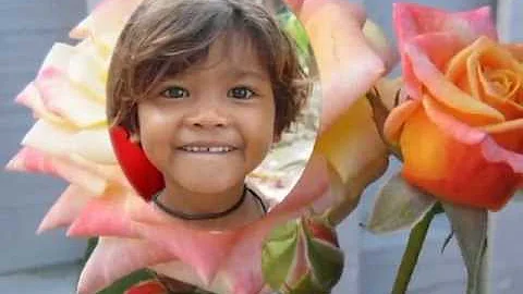 The Prettiest Flowers