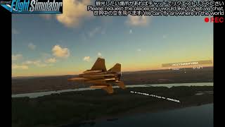 新共和国航空 NRA0237便【Microsoft Flight Simulator 2020】