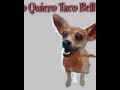 Taco bell Chihuahua #edit