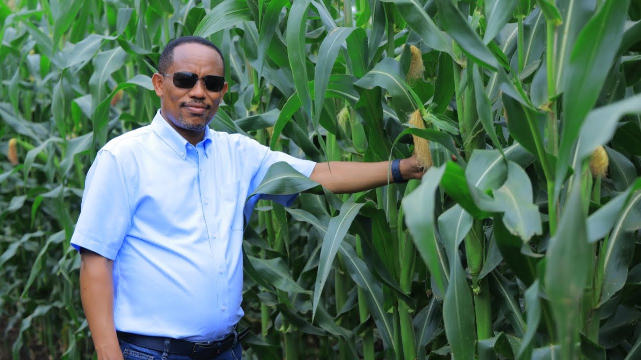 ርዕሰ መስተዳድሩ በጋሞ ዞን ዳራማሎ ወረዳ በተቀናጀ የእርሻ ልማት የተሰማራ የኢንቨስትመንት ፕሮጀክት የስራ እንቅስቃሴን ጎብኝተዋል....