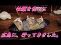 広島へ牡蠣食べに行ってきました。(^^)v