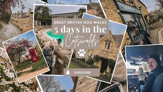 Five dog friendly days in the Cotswolds