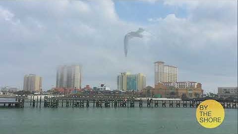 Module 3 Activity: Working with Still Images to Create a Slideshow